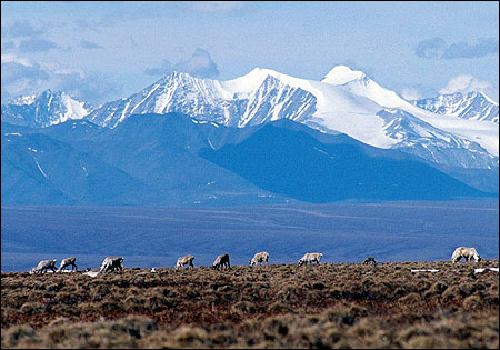 Stop Selling our Heritage for Crooked Oil!