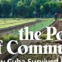 How Cuba survived peak oil