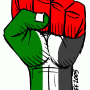 PALESTINE VAINCRA !