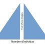 Pyramide type