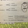 structure de l'impérialisme