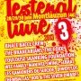Festenal liure 2013