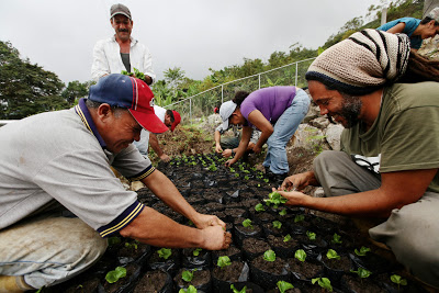 Commune Agro-écologique  “EL Tambor”, Municipalité Andrés Bello. État de Mérida, Venezuela, 2013.