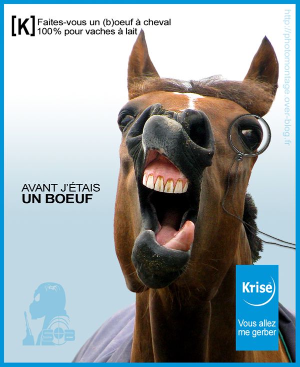 AFFICHE-cheval-fake-sblesniper-600-copie-1.jpg