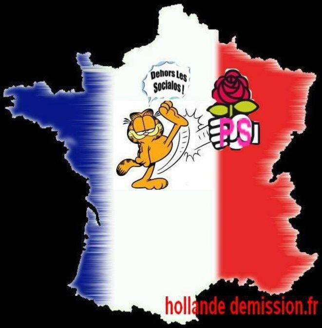 chat-ps-dehors-france chat-ps-dehors-france